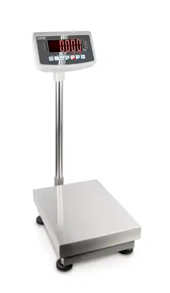 Platform scale EFC 100K-3L